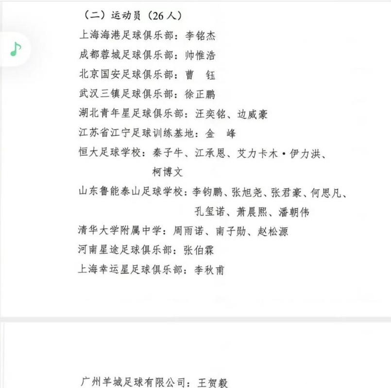 回国参加中超，16岁国少核心为何中断留洋？